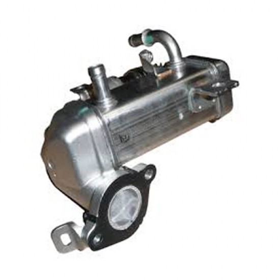 EGR SOĞUTUCU TRAFİC 3 MEGANE 4 TALİSMAN 1.6 DCİ R9M (TEK TURBO)-147350678R EGR SOĞUTUCU TRAFİC 3 MEGANE 4 TALİSMAN 1.6 DCİ R9M (TEK TURBO)-147350678R